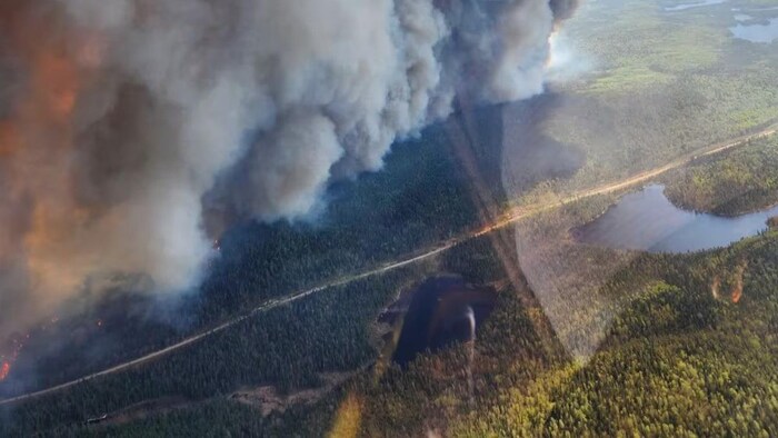 Vue aérienne du feu de forêt.