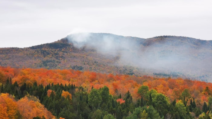 Un nuage de fumée au dessus du Mont-Echo.