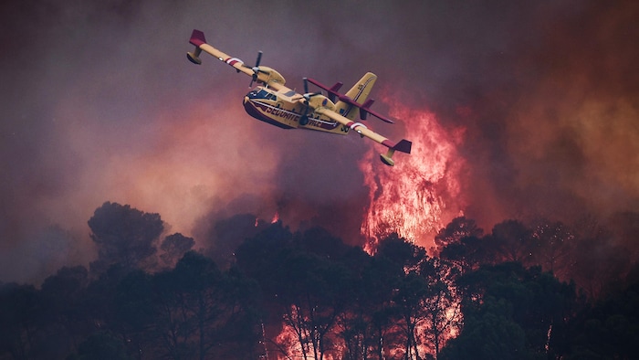 Un Canadair de la sécurité civile française survole un incendie de forêt.