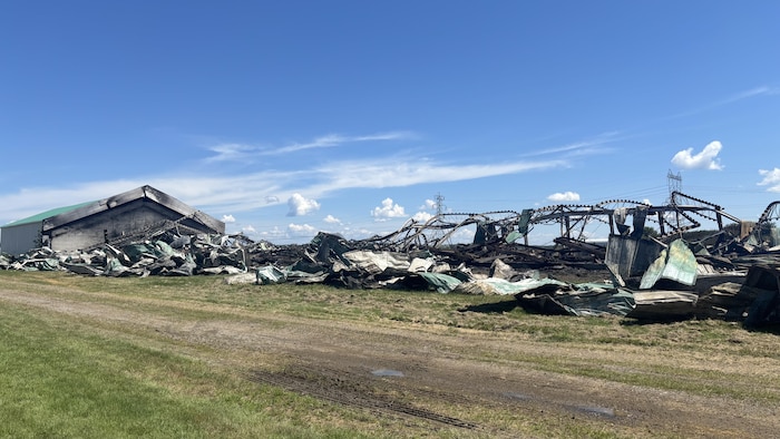 Les restes calcinés et effondrés d'un grand bâtiment agricole jonchent le sol, mêlant tôles froissées vertes et structures métalliques tordues par un incendie. Une partie du hangar reste debout à gauche, sous un grand ciel bleu ensoleillé.