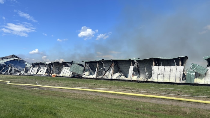 Un long bâtiment agricole est en grande partie effondré et détruit par un incendie, dégageant une épaisse fumée grise vers le ciel bleu. Un long tuyau de pompier jaune s'étend au premier plan sur une pelouse verte.