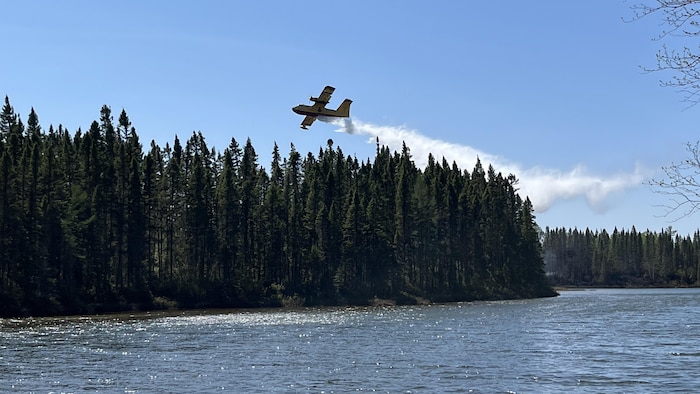 Un avion-citerne qui survole une forêt et relâche de l'eau.