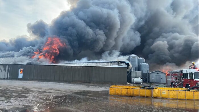Un camion de pompier devant une porcherie en feu.