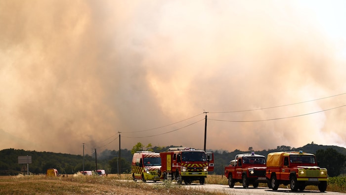 Des camions de pompiers circulent sur une route.