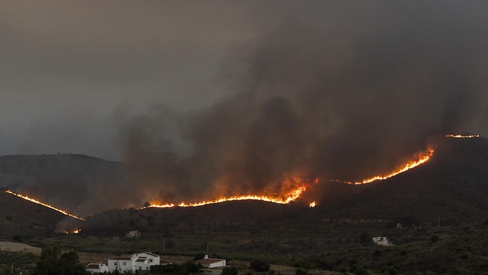 Un incendie de forêt se propage lentement vers des habitations situées près de la commune d'El Pocico, le 10 juillet 2026, à Almería, en Espagne. 