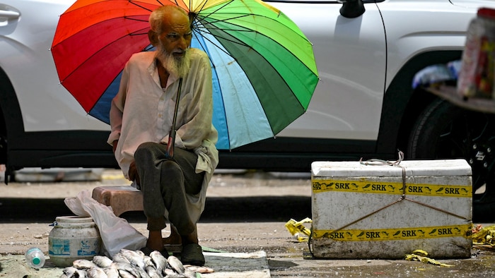 An Indian fishmonger protects himself from the sun with an umbrella.