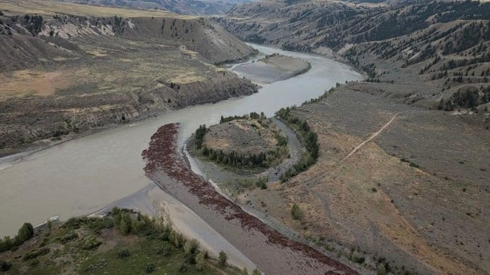 L'intersection de la rivière Chilcotin et le fleuve Fraser, avec des débris dans la rivière Chilcotin.