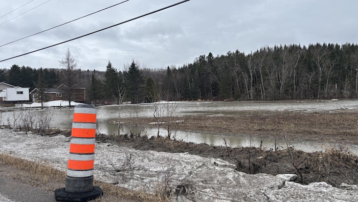 Beaucoup d'eau dans un champs à côté d'une maison. 