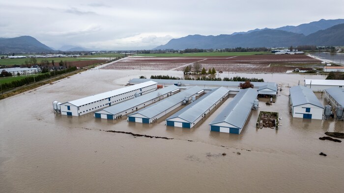 Vue aérienne de bâtiments d'un établissement agricole inondés.