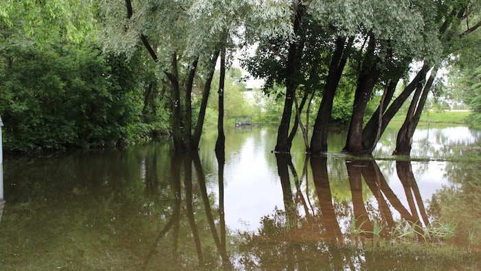 L'arrière-cour inondée de Mike et Theresa Deyneka, deux habitants de Canora en Saskatchewan, le 1er juillet 2026.