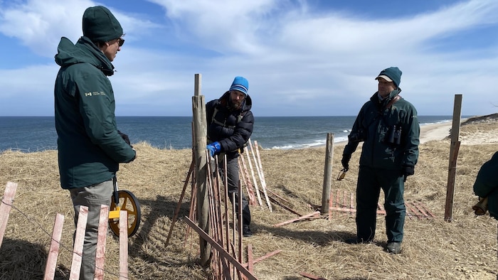 Trois personnes installent une clôture de bois près de la mer. 