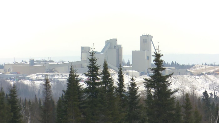 Les installations de la mine Westwood vues de loin, avec des épinettes noires devant.