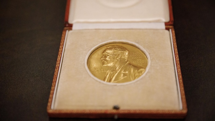 La photo de la médaille représentant Alfred Nobel, dans un écrin.