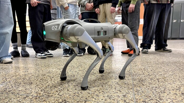 Un petit robot avec des pattes.