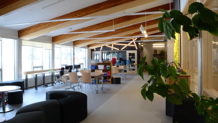 L'intérieur d'une école primaire, avec des fenêtres, des espaces de travail, des plantes et un mur végétal.