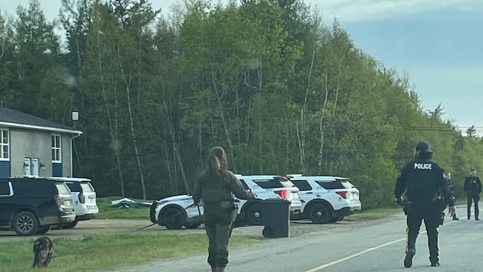 Trois véhicules de police garés devant une maison, quatre policiers et un chien policier. 