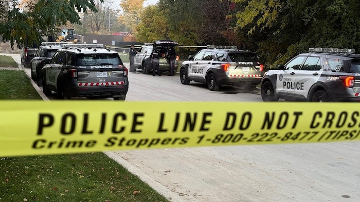 Plusieurs voitures de police sont garées sur une rue d'un quartier.