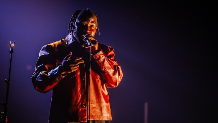 Le chanteur se produit sur scène. 
