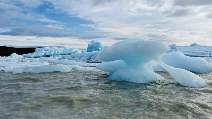 Des icebergs sur le lagon glaciaire Fjallsarlon.