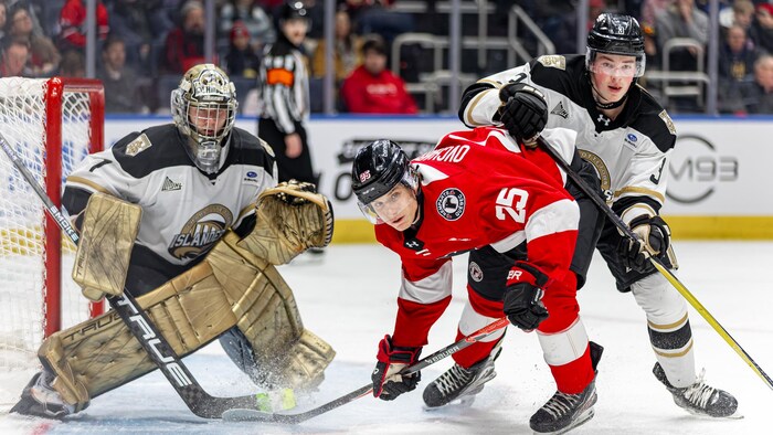 Des joueurs de hockey sur la glace.