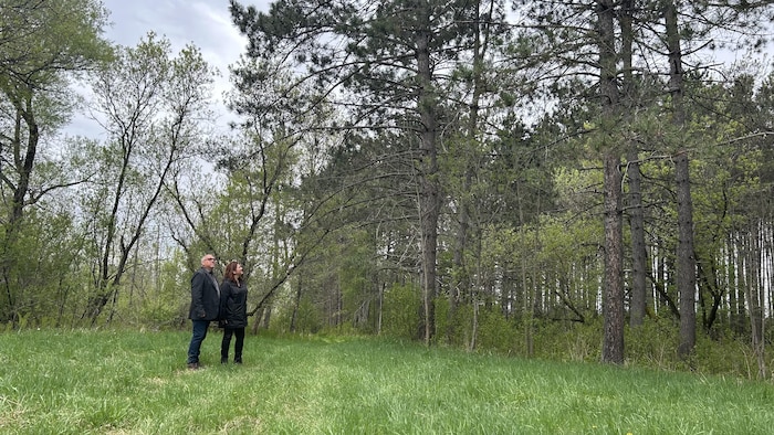 Un homme et une femme sont debout, côte à côte, sur un petit terrain gazonné entouré d'arbres. Leurs regards sont tournés vers le haut, vers la cime des arbres.