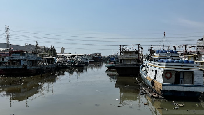 Plusieurs bateaux immobilisés dans de l'eau sale remplie de débris. 