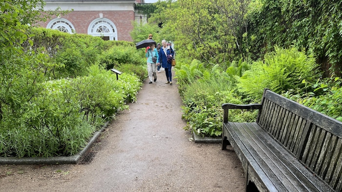 Deux personnes au loin s'engagent dans l'allée d'un jardin botanique, entouré de plantes et d'arbustes.