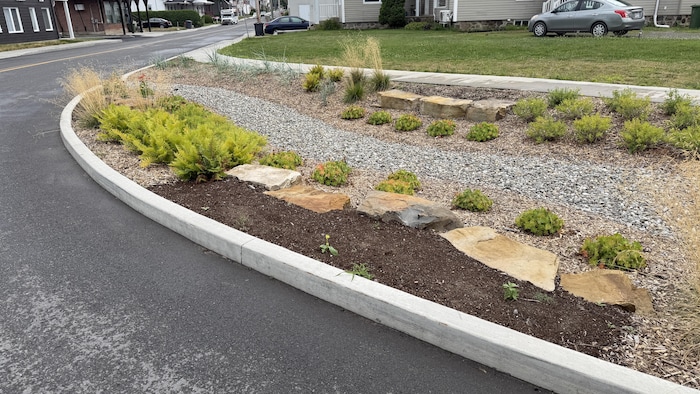 Un exemple de jardin de pluie qui se trouve déjà dans la municipalité de Plessisville. 