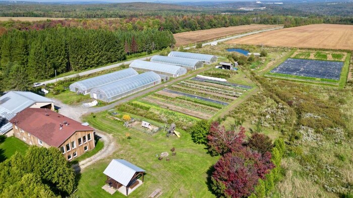 Une vue de haut d'une ferme maraîchère avec deux bâtiments principaux et cinq serres. 