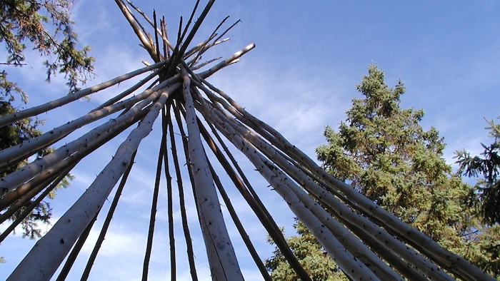 Branches disposées ensemble dans la forme d'un tipi avec le ciel et des arbres en arrière plan.
