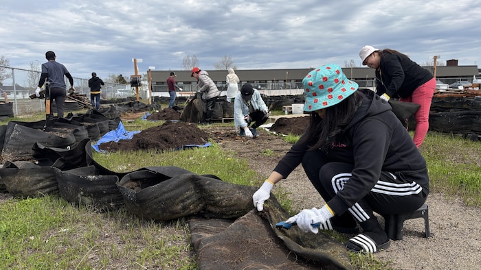 Des jardiniers travaillent dans la terre.
