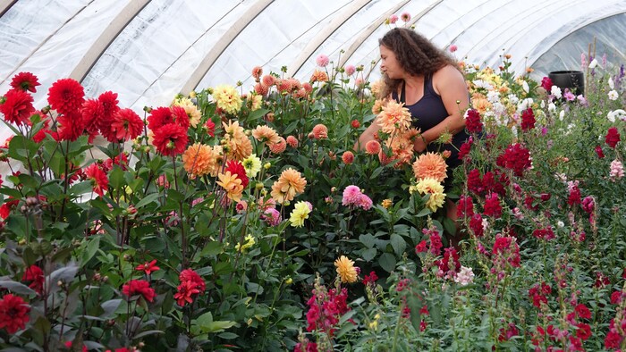 Les Fleurs de Simone - Ferme Florale