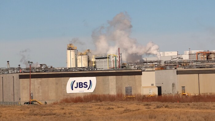 De la fumée s'échappe des installations d'une usine JBS Canada située derrière un champ de hautes herbes sèches.