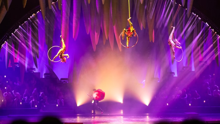 Trois artistes dans des cerceaux aériens.