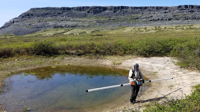 Un personne tient un instrument de recherche près d'une mare.