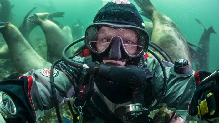 Jill Heinerth en pleine plongée, avec son masque et tout son équipement. Elle est entourée de mammifères marins.
