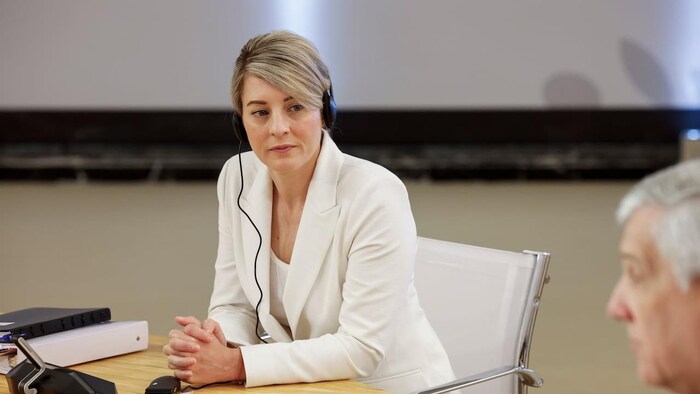 外交部长乔美兰（Mélanie Joly）。