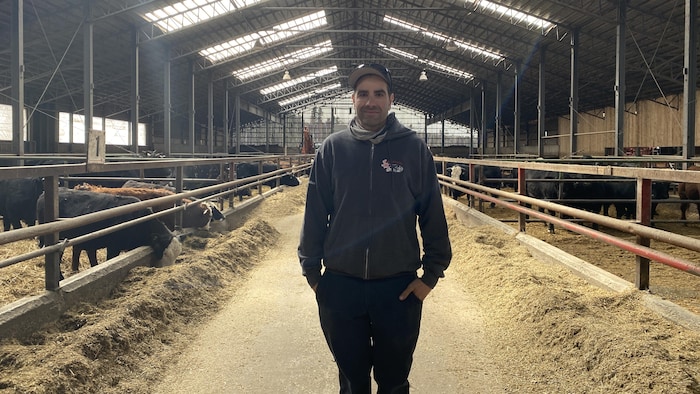 Un homme est photographié dans une grande ferme avec des vaches et du foin. 