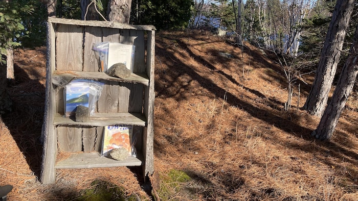 Trois livres protégés par un sac plastique dans une bibliothèque de bois accotée à un arbre.