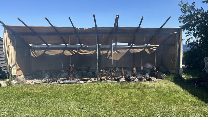 Des animaux qui cuisent au-dessus du feu. 