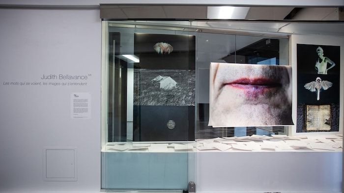 Vitrine de l'exposition « Les mots qui se voient, les mots qui s'entendent » de la photographe Judith Bellavance.