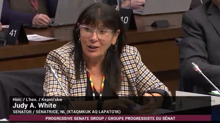 Judy White prend la parole lors d’une audience d’un comité sénatorial.