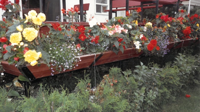 Des bacs à fleurs très fournis sur une maison dans les années 1990.