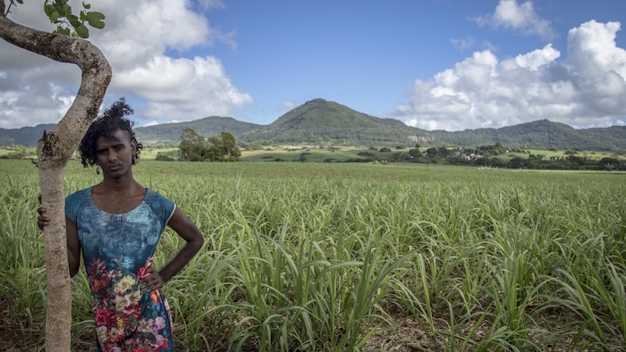 Une personne trans tient un arbre dans un immense paysage de l'île Maurice avec des montagnes et des plantes.