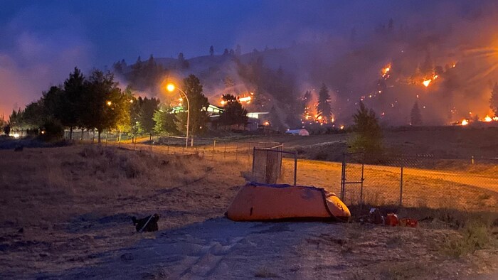 Les flammes arrivent à hauteur du terrain.