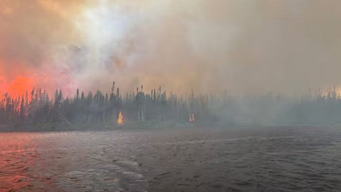 Une forêt prend feu.
