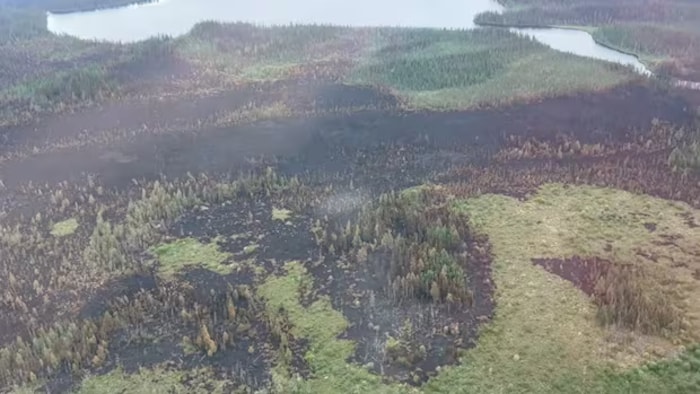 Des forêts près de l'eau brûlent.