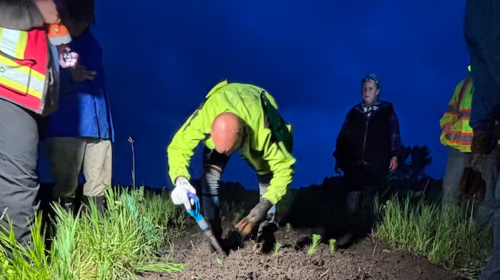 Kenny Chaplin plante un arbre pendant la nuit.