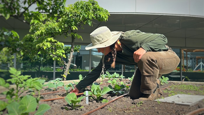 Kimberley Anne se penche sur des plantes du jardin.