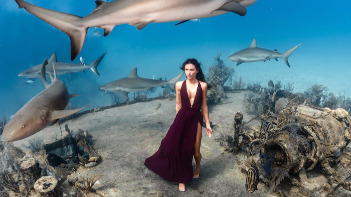 Une femme en  robe sur une épave au fond de la mer, entourée de requins. 
